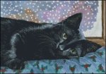 Christmas Black Cat (image for) Christmas Black Cat